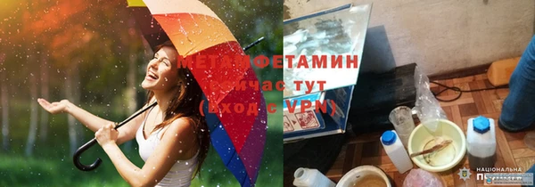 прущие грибы Армянск