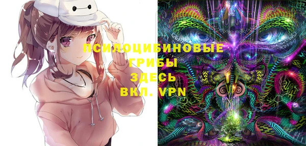 не бодяженный Арсеньев
