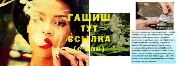прущие грибы Армянск