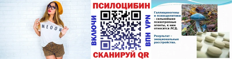 Псилоцибиновые грибы Psilocybine cubensis  Балабаново 
